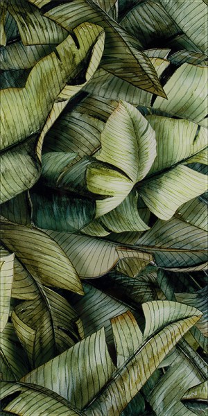 paradyz/natura/paradyz-universal-glass-inserto-leaf-a-30x60