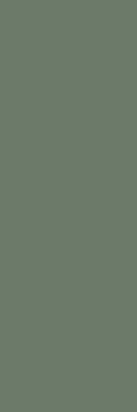 paradyz/nightwish/paradyz-nightwish-green-25x75