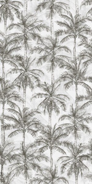 rondine/ludo/rondineludodecoropalmetta60x120
